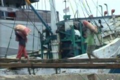 PESCA 13  IMAGEN FOTOGRAFIA